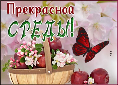 Открытка приятная открытка хорошей среды
