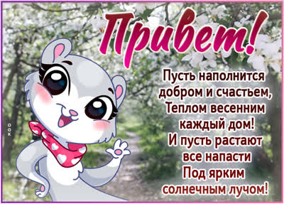 Picture приятная открытка привет