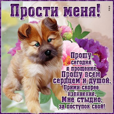 Картинка прости меня