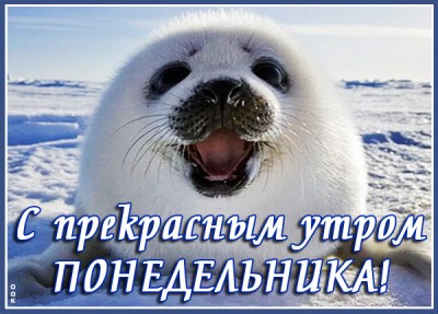 Картинка пусть понедельник заиграет яркими красками
