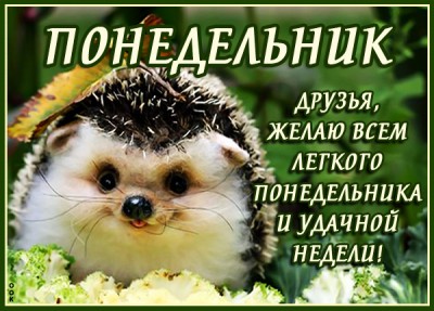 Картинка пусть в этот понедельник все сложится удачно