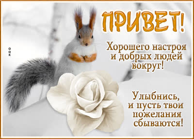 Postcard расслабляющая открытка привет