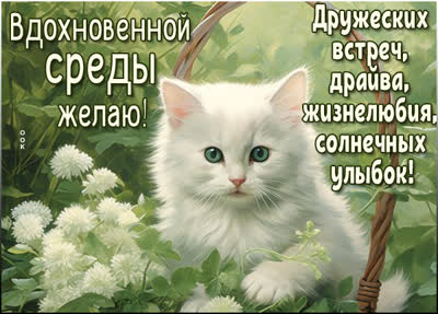 Picture романтичная открытка уютная открытка вдохновенной среды