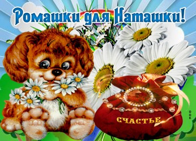 Открытка ромашки для наташки