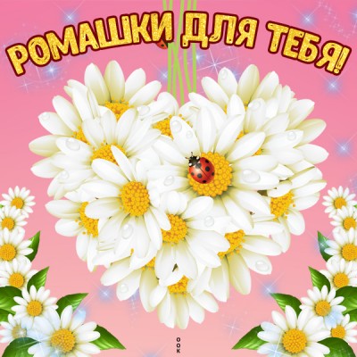 Картинка ромашки для тебе