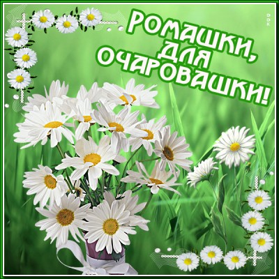 Картинка ромашки на счастье