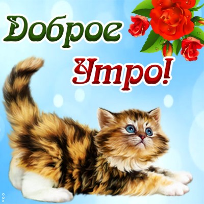 Картинка с добрым утречком