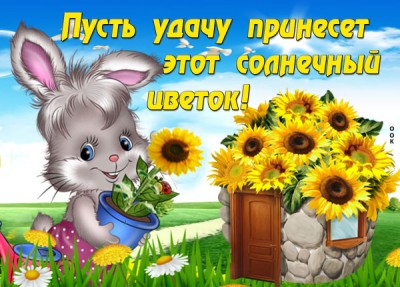 Картинка самый нежный цветок от меня