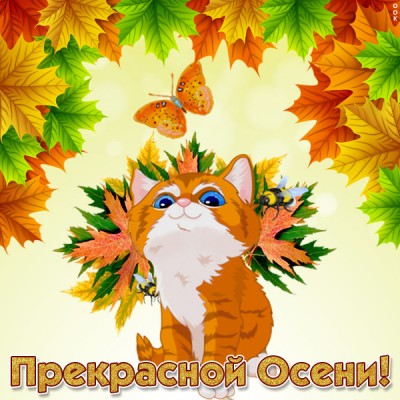 Картинка счастливой осени друзья