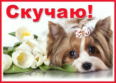 Картинка сердечная картинка скучаю