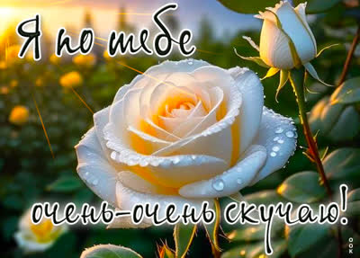 Picture сердечная открытка я по тебе щчень-очень скучаю