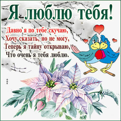Postcard шикарная картинка я люблю тебя