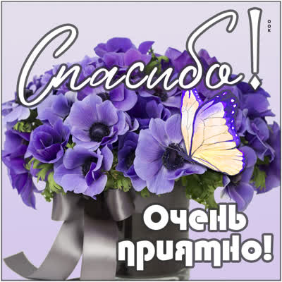 Picture сказочная картинка спасибо очень приятно