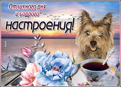Postcard сказочная открытка отличного дня и бодрого настроения
