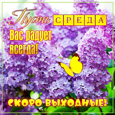 Picture сказочная открытка пусть среда вас радует всегда