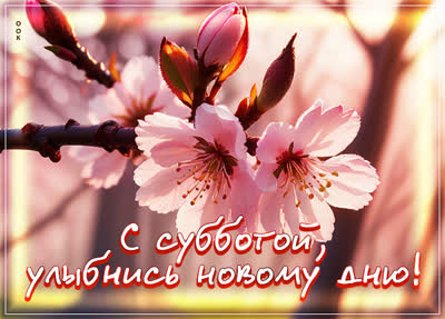 Picture сказочная открытка улыбнись новому дню