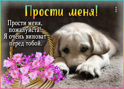Postcard сладкая открытка прости меня
