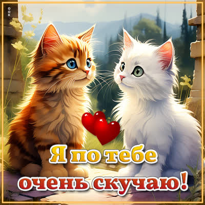Picture сладкая открытка я по тебе очень скучаю
