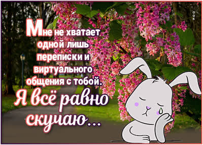 Picture сладкая открытка я все равно скучаю