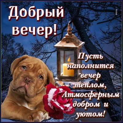 Открытка славная открытка добрый вечер