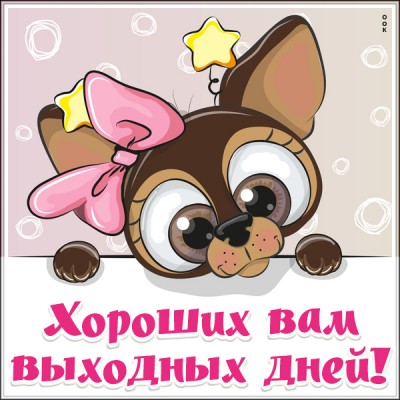 Открытка смешная картинка хороших выходных