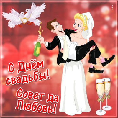 Открытка смешная картинка с днем свадьбы