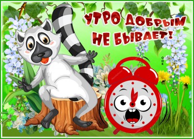 Картинка смешная картинка с добрым утром