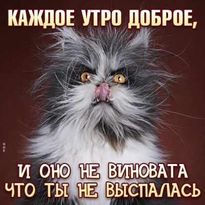 Картинка смешная картинка с  добрым утром, каждое утро доброе и оно не виновата что ты не выспалась