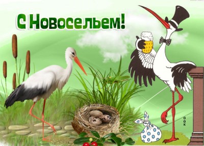 Картинка смешная картинка с новосельем