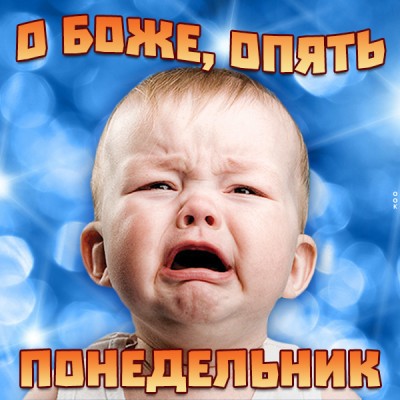 Картинка смешная картинка с понедельником