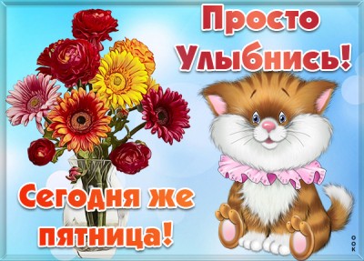 Картинка смешная картинка с пятницей