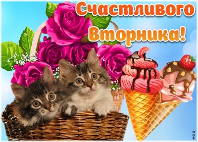 Открытка смешная картинка с вторником