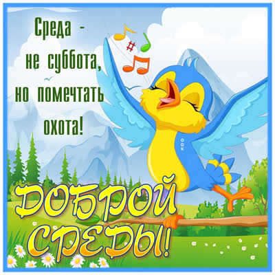 Picture смешная картинка доброй среды