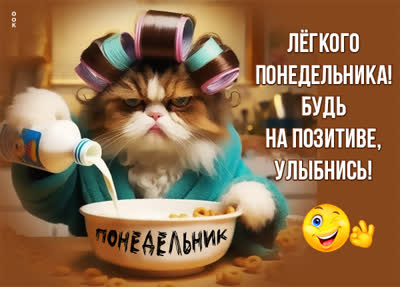 Postcard смешная картинка легкого понедельника