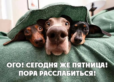 Picture смешная картинка ого сегодня пятница