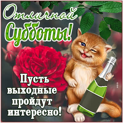 Postcard смешная картинка отличной субботы