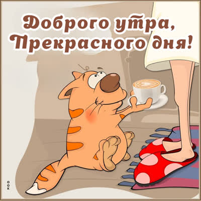Postcard смешная картинка прекрасного дня