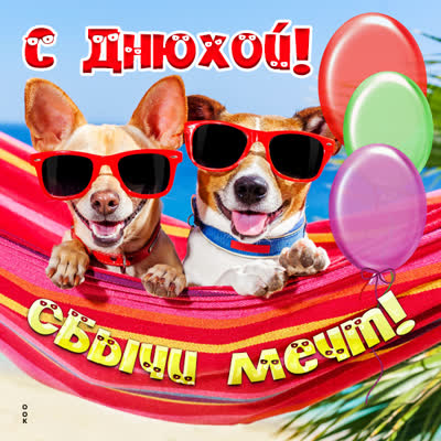 Postcard смешная картинка с днем рождения