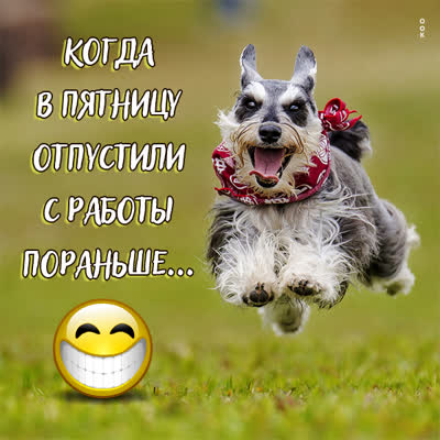 Picture смешная картинка с пятницей