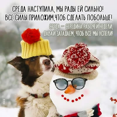 Picture смешная картинка среда наступила