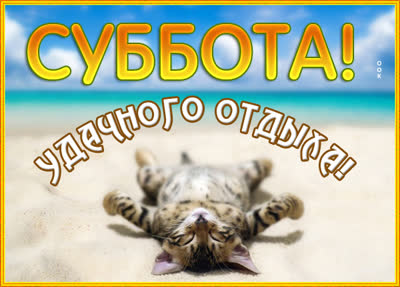 Postcard смешная картинка удачного отдыха