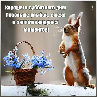 Picture смешная картинка хорошего субботнего дня