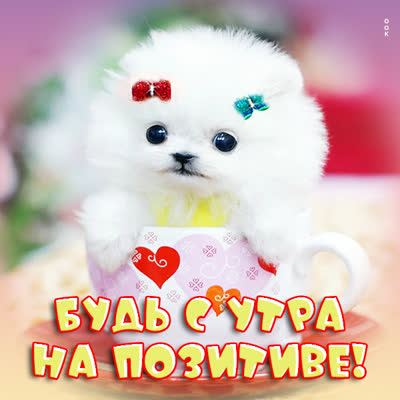 Picture смешная открытка будь с утра на позитиве