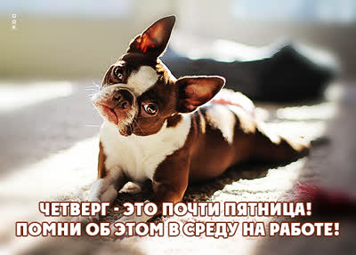 Picture смешная открытка четверг это почти пятница