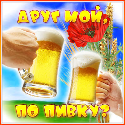 Picture смешная открытка другу
