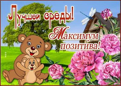 Postcard смешная открытка максимум позитива