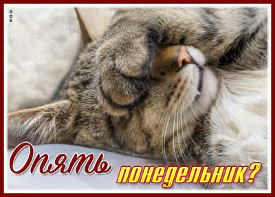 Picture смешная открытка опять понедельник