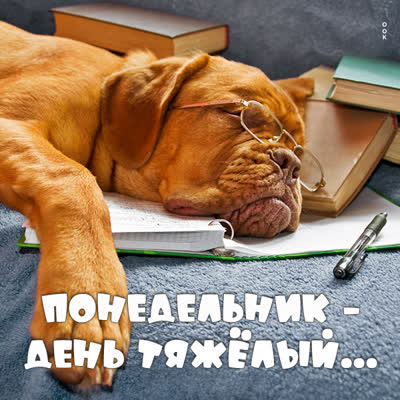 Picture смешная открытка понедельник день тяжелый