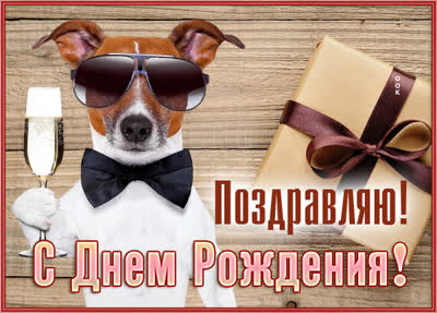 Postcard смешная открытка поздравляю