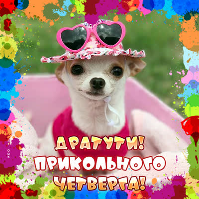 Postcard смешная открытка приколького четверга